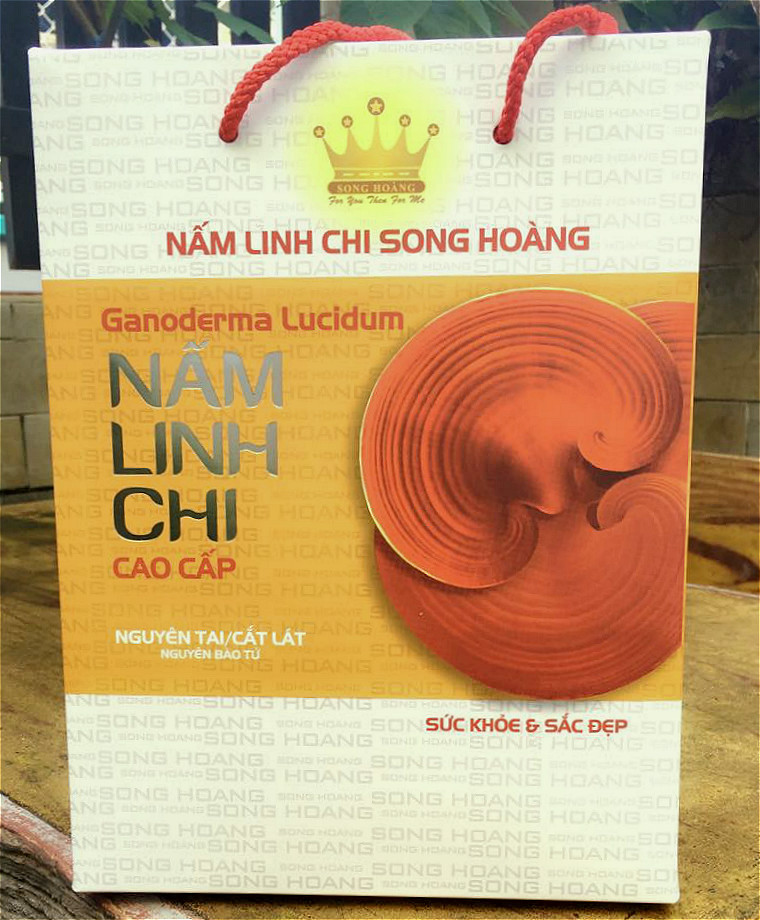 NẤM LINH CHI SONG HOÀNG - Cao Cấp - Loại 250g